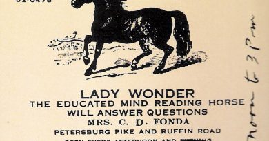 لیدی واندر اسبی که قدرت غیبگویی و تلپاتی داشت!