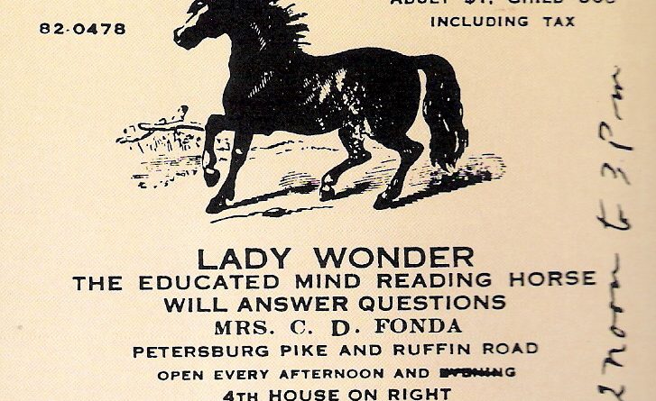 لیدی واندر اسبی که قدرت غیبگویی و تلپاتی داشت!