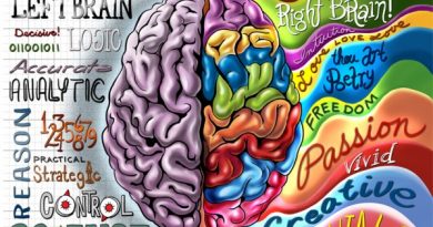 آیا انسانها به دو دسته " چپ مغز " یا " راست مغز " تقسیم می شوند؟