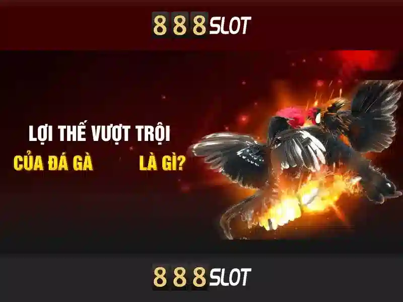 Lý Do Chọn 83