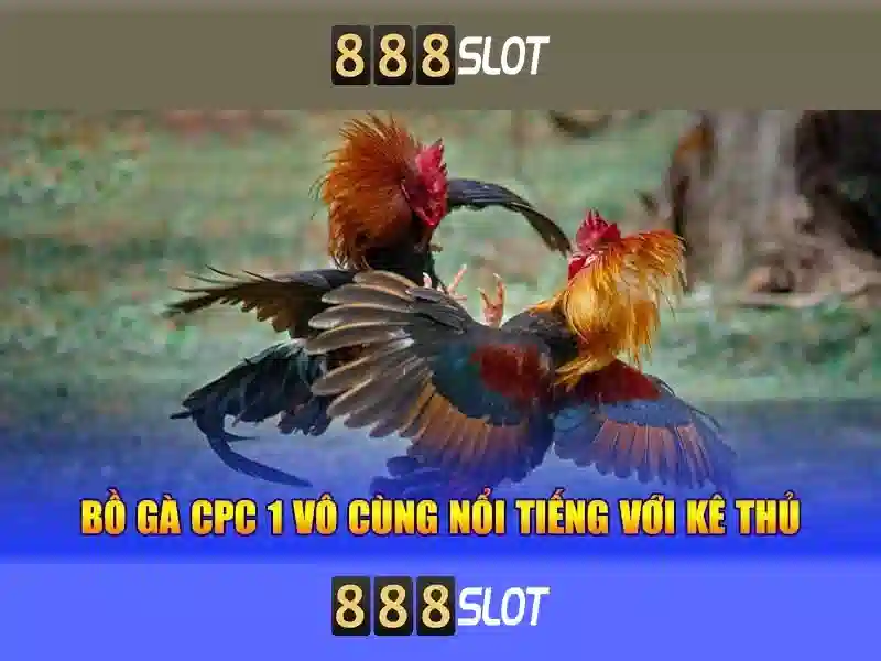 Ưu đãi 888slot