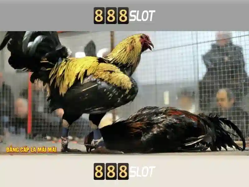 Hướng Dẫn Đăng Nhập 888slot Freebet Login