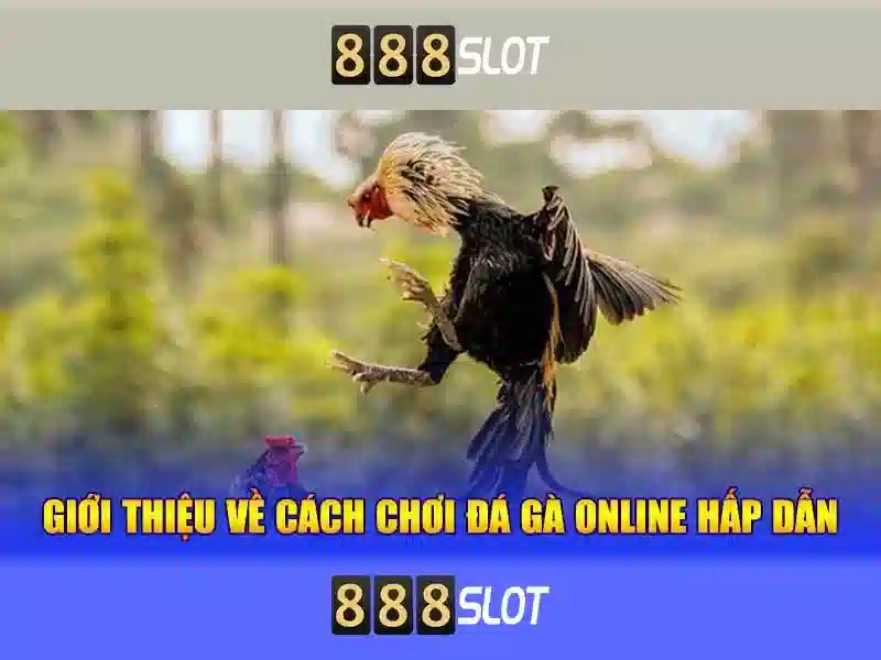 Trải Nghiệm SLOT