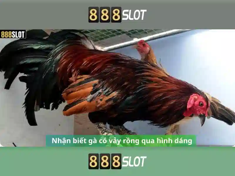 Hướng dẫn tải 888slot apk latest version
