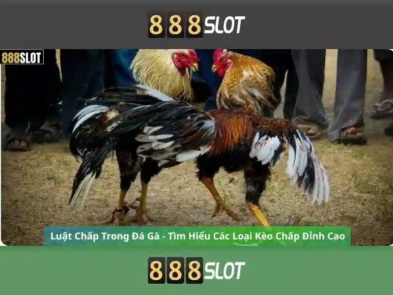 Trải Nghiệm Chơi Game Slot