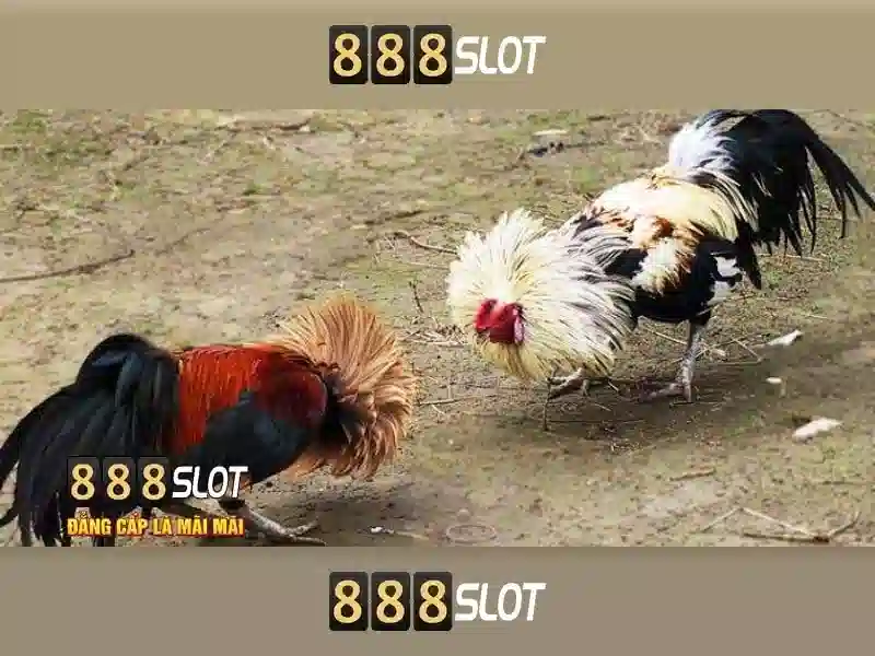 Cách chơi slot 888SLOT