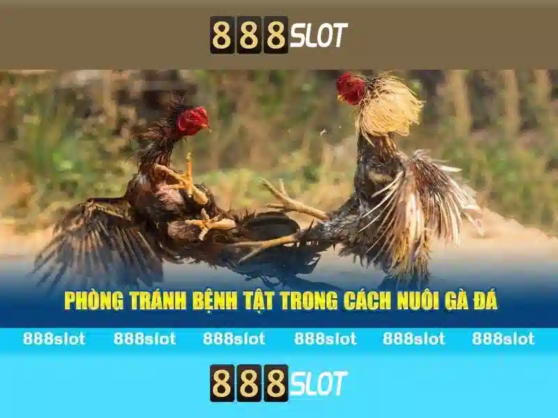 Tỷ lệ RTP cao