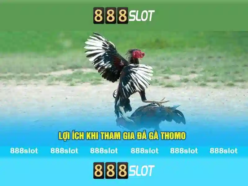 Trải Nghiệm Slot 888SLOT