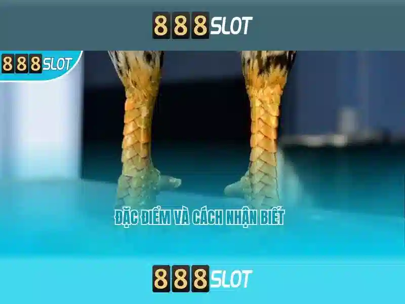Tải app 888SLOT