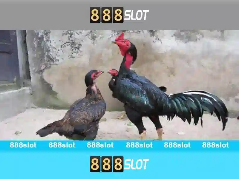 Trải nghiệm Slot 89 đỉnh cao