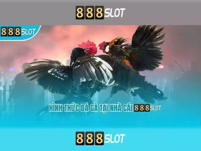888SLOT – Trang Chủ 888slot Tải 2026 | Casino, Thể Thao, Xổ Số Đa Dạng
