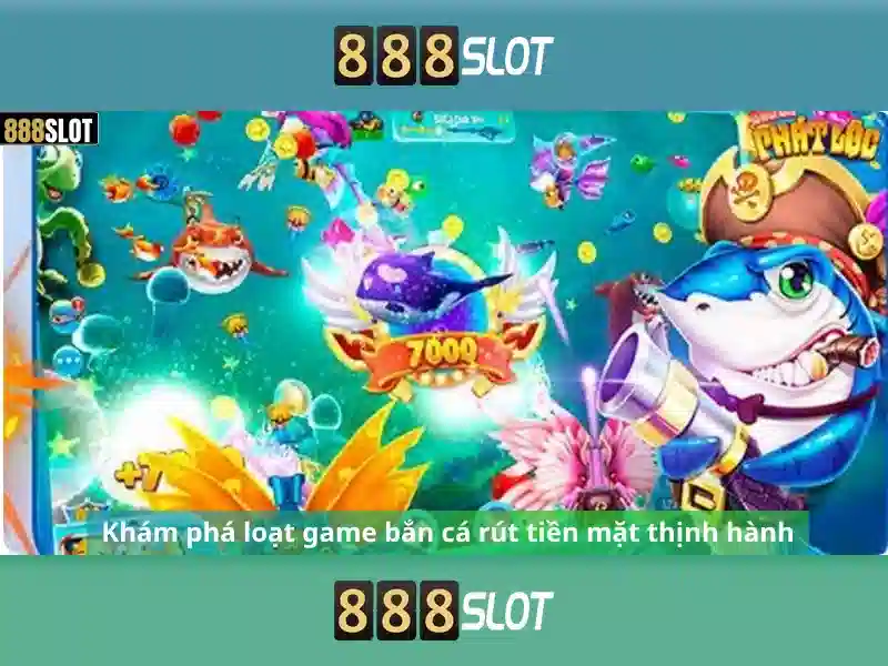 quy định cơ bản