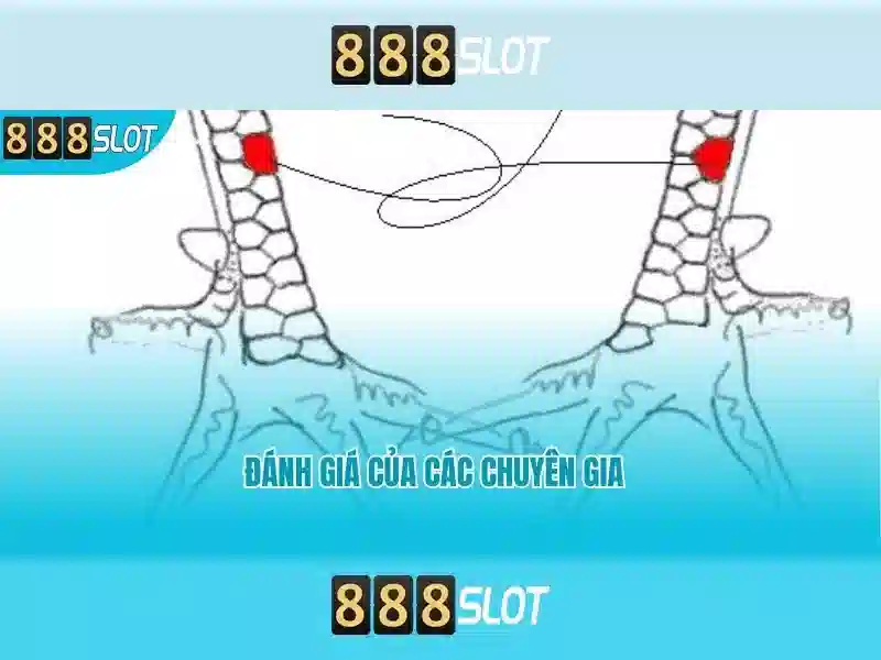 Khuyến mãi độc quyền 888SLOT
