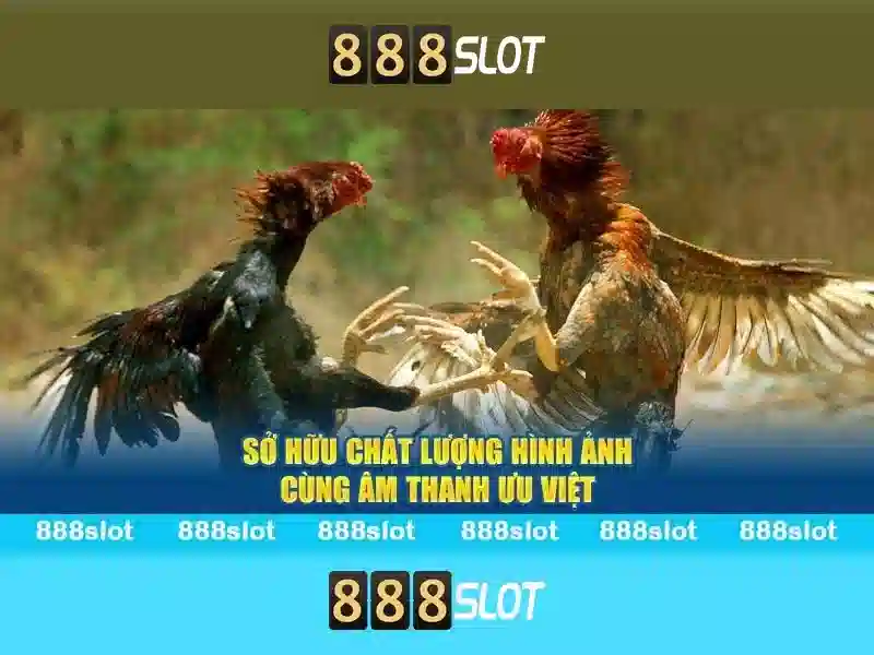 Trải nghiệm slot đỉnh cao