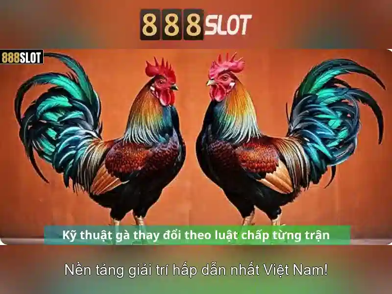 Chương Trình Ưu Đãi Slot VN