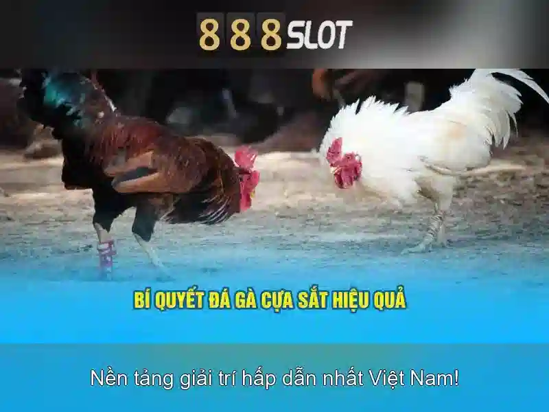 Khuyến mãi hấp dẫn
