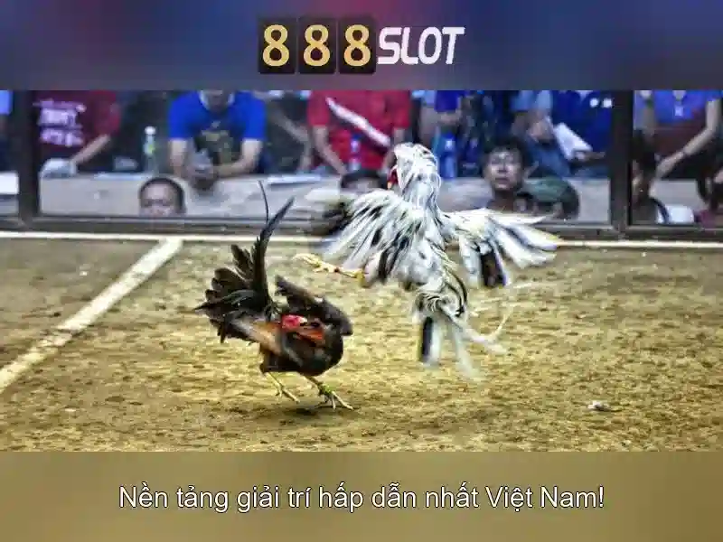 Trải nghiệm 888 slot app – Nền tảng slot hàng đầu 2026